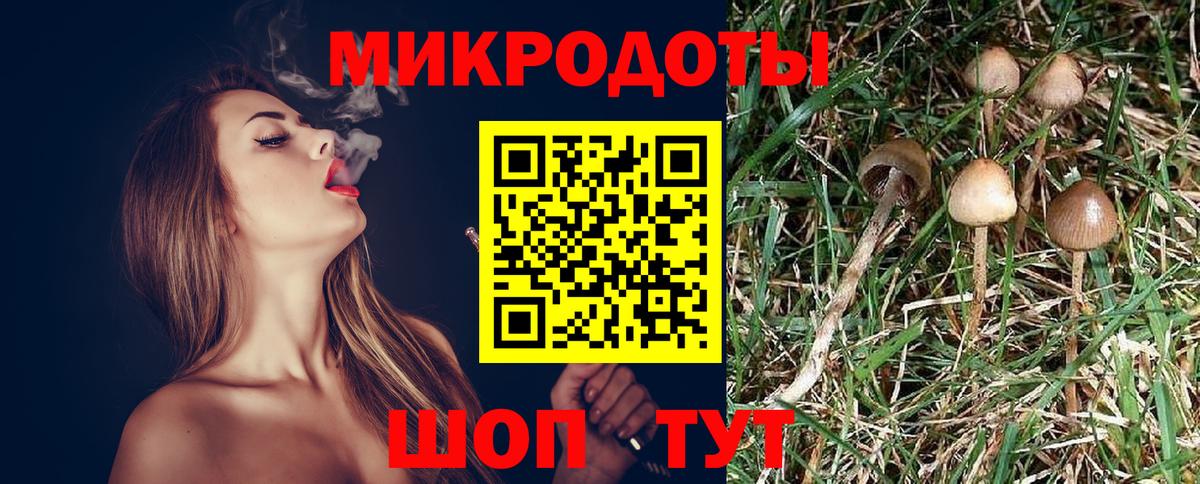 Полысаево  Псилоцибиновые грибы прущие грибы  Вход с VPN  Псилоцибиновые грибы MAGIC MUSHROOMS 